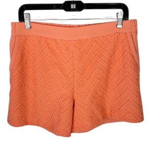 Stitch Fix | Skies are Blue Zig Zag Embroidered Chino Shorts in Peach